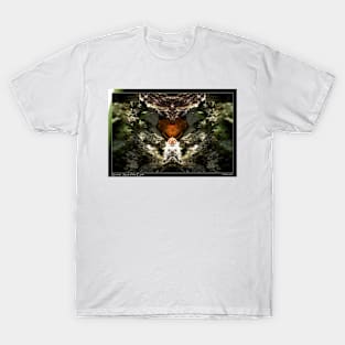 Secrets: Soul of the Earth T-Shirt